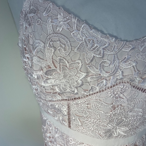 Light Pink Ted Baker Lace Dress - Picture 4 of 4